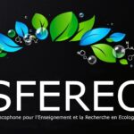 Activités du GDR